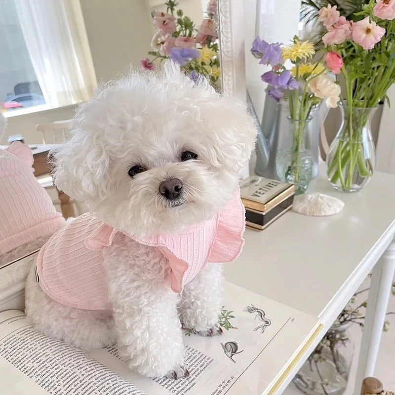 Cute Bow Dog Vest Teddy Puppy Pullover Summer Pet Clothes Breathable Two-legged Clothes Solid Color Cat Dog Clothes Pet Products