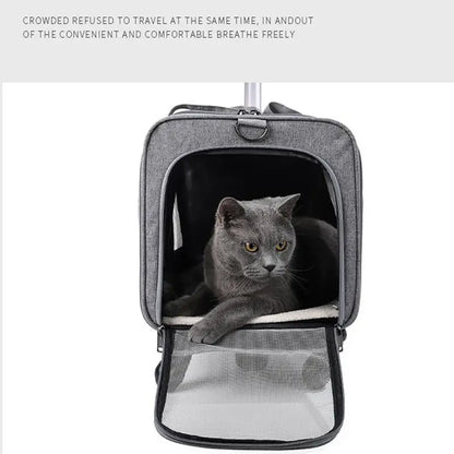 Outgoing Dog Carrier Bag with Safety Zippers Backpack Cat Dog Pet Carriers Travel Bags Airline Approved Transport For Small Dogs