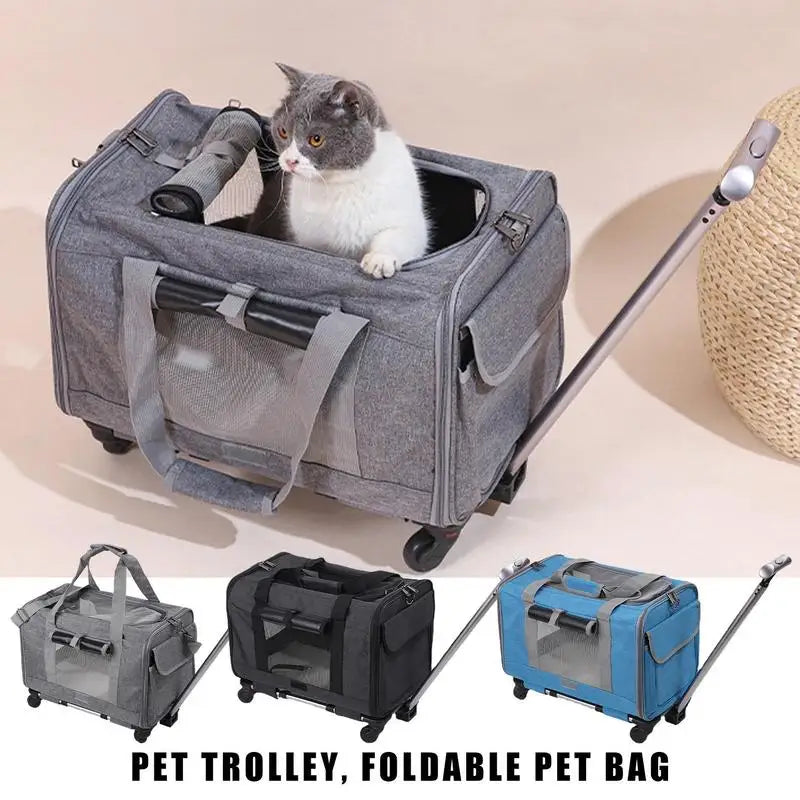 Outgoing Dog Carrier Bag with Safety Zippers Backpack Cat Dog Pet Carriers Travel Bags Airline Approved Transport For Small Dogs