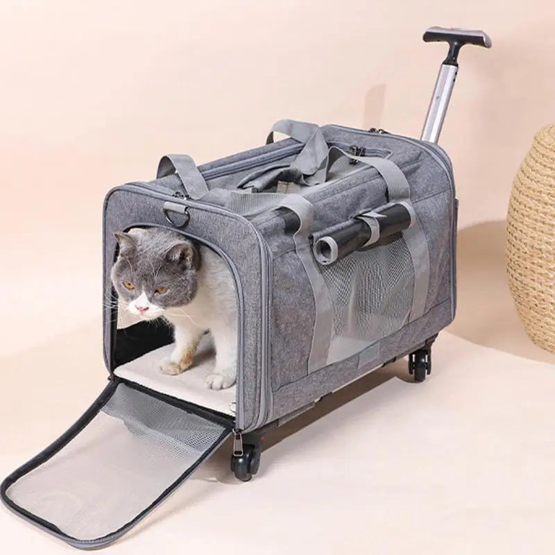 Outgoing Dog Carrier Bag with Safety Zippers Backpack Cat Dog Pet Carriers Travel Bags Airline Approved Transport For Small Dogs